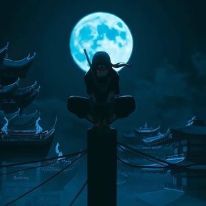 Meet your Posher, Steve